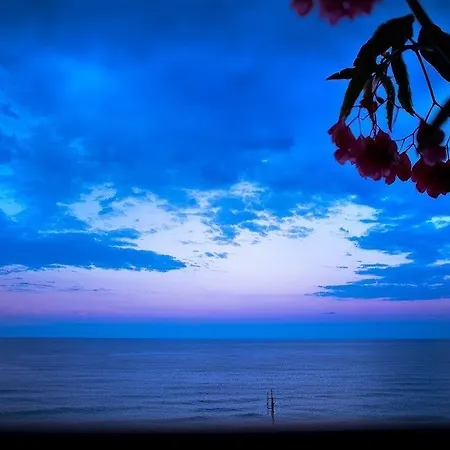 Apart Otel Flamingo Pelion