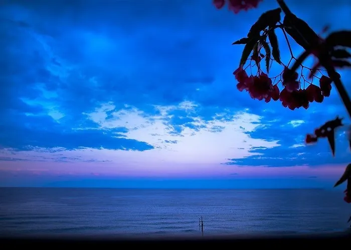 شقة فندقية Flamingo Pelion